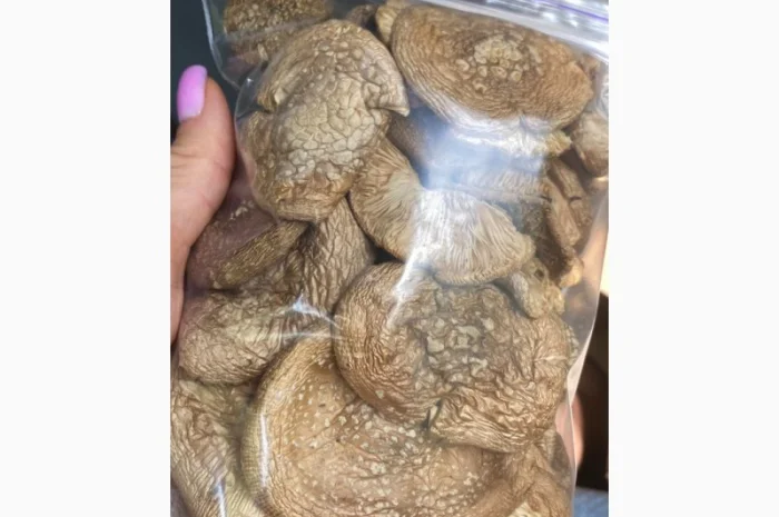 Сухие капелюшки пантерного мухомора на продажу- фото № 1