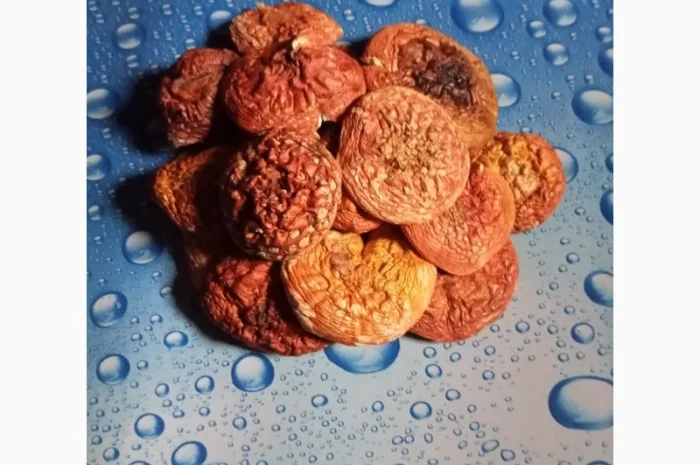 Сушёные шляпки красного мухомора на продажу- фото № 1