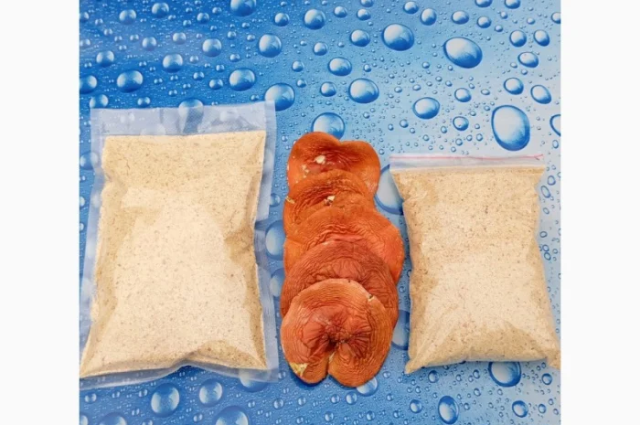 Сушені шляпки червоного мухомора на продаж- фото № 2