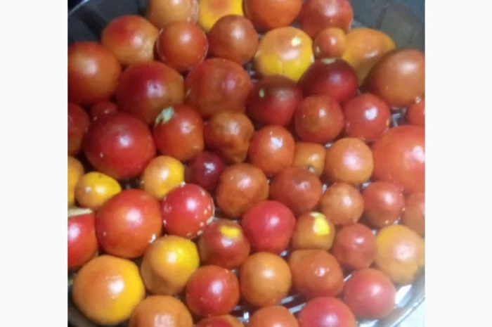 Сушені шапки мухоморів на продаж- фото № 4