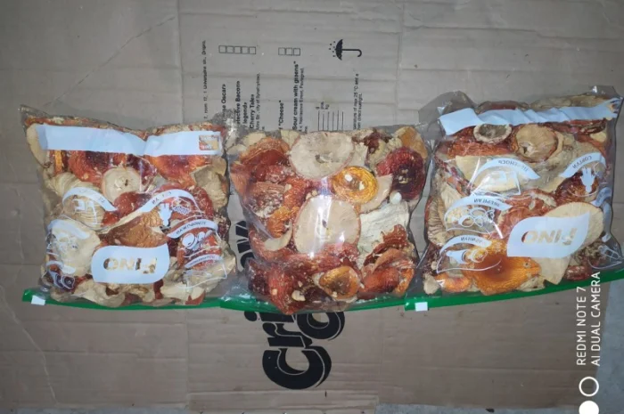 Мухомор червоний (Amanita muscaria) відмінна якість- фото № 5