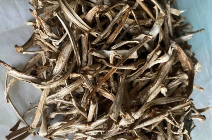 Сома из мухоморов на продажу- фото № 3