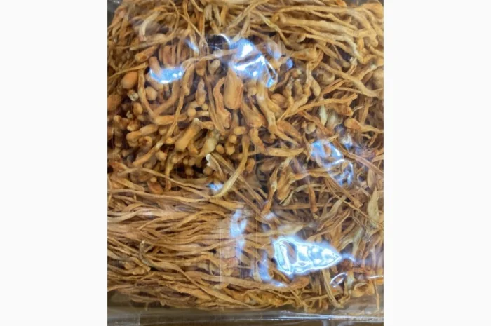 Кордіцепс для підвищення енергії та тонусу організму- фото № 12