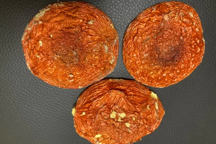 Кордіцепс для підвищення енергії та тонусу організму- фото № 4