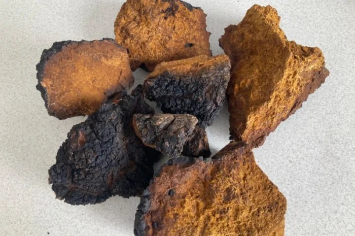 Кордіцепс для підвищення енергії та тонусу організму- фото № 6