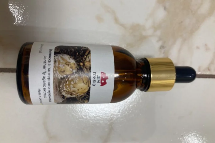 Гриби різні- фото № 10