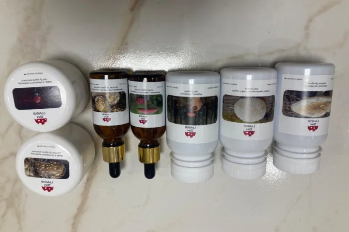 Гриби різні- фото № 14