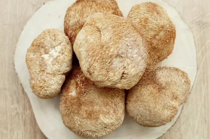 ЕЖОВИК ГРЕБЕНЧАТЫЙ купить. Львиная Грива Герициум Ежевик гриб Качество- фото № 1