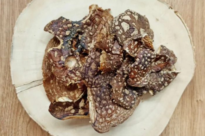 КОРОЛІВСЬКИЙ МУХОМОР 2023 р. - Сушені капелюшки, мікродозинг купити- фото № 1