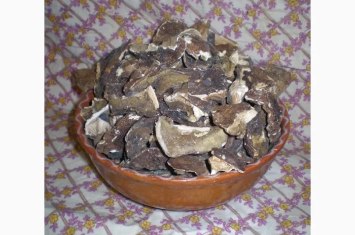 Польские сушеные грибы из Карпат- фото № 1