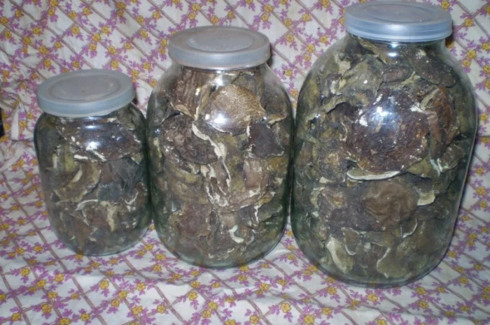 Польские сушеные грибы из Карпат- фото № 2