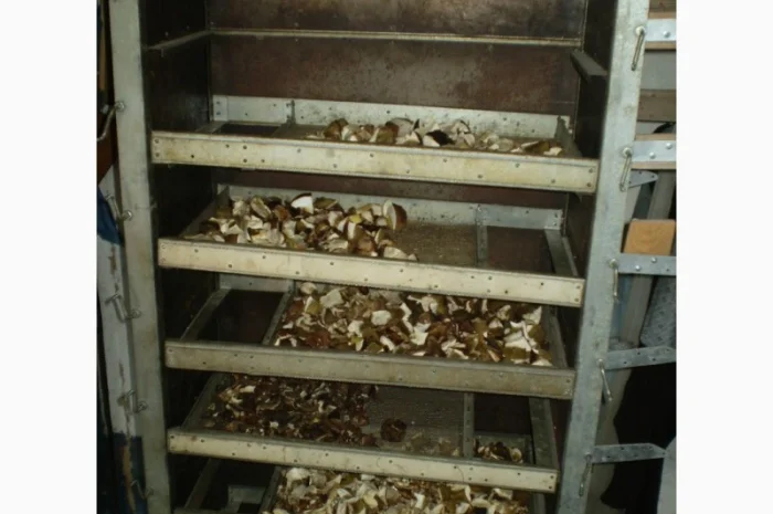 Польские сушеные грибы из Карпат- фото № 7