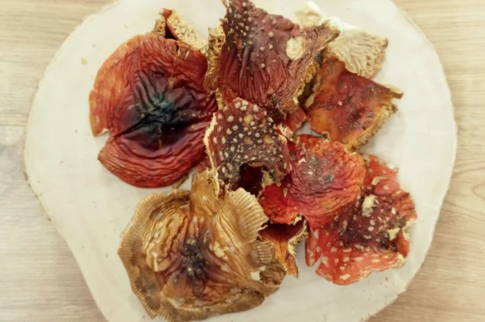 Червоний мухомор сушені шляпки 2 сорту- фото № 1