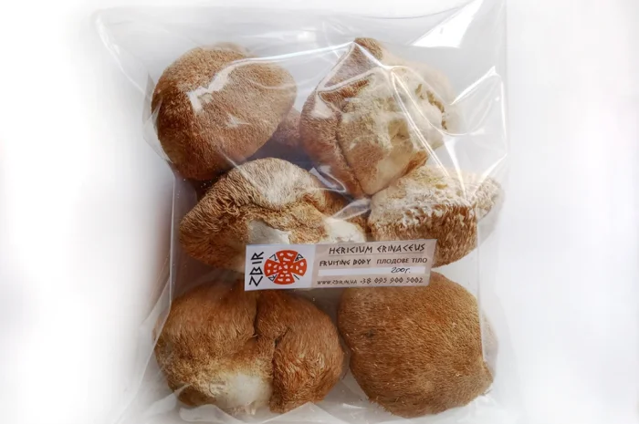 Продаж Їжовика Гребінчастого (Hericium erinaceus)- фото № 2