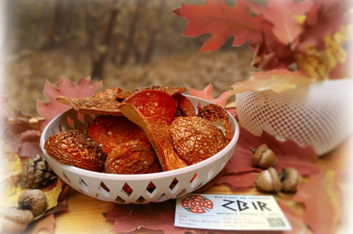 Продаж Мухомора ЧЕРВОНОГО- фото № 1