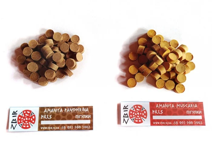 Продажа Пігулки з мухомора червоного та пантерного- фото № 2