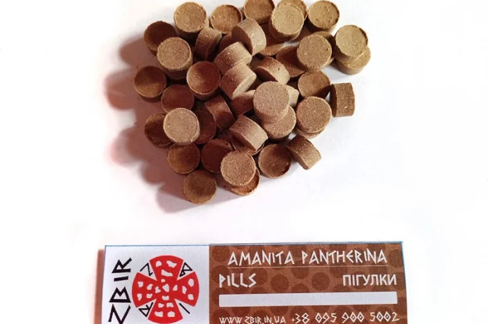 Мухомор ПАНТЕРНИЙ (Amanita Pantherina) на продаж- фото № 7
