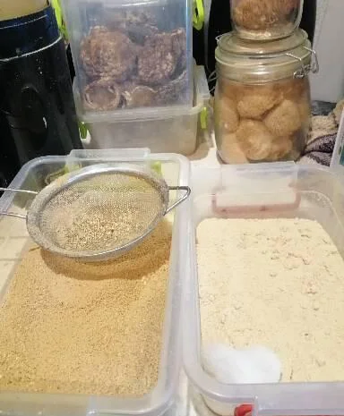 Пантерный мухомор- фото № 2