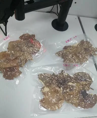 Пантерный мухомор- фото № 5