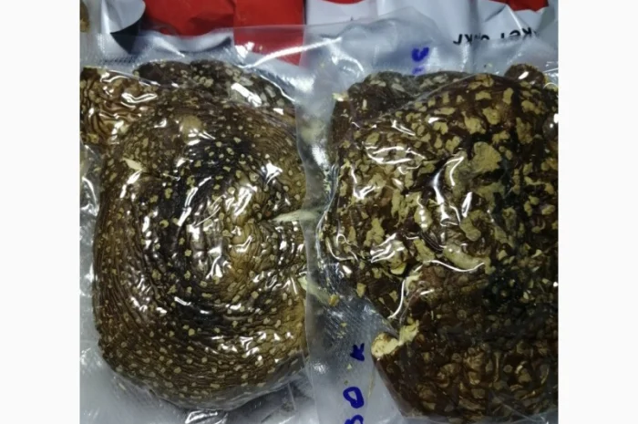 Пантерный мухомор- фото № 9