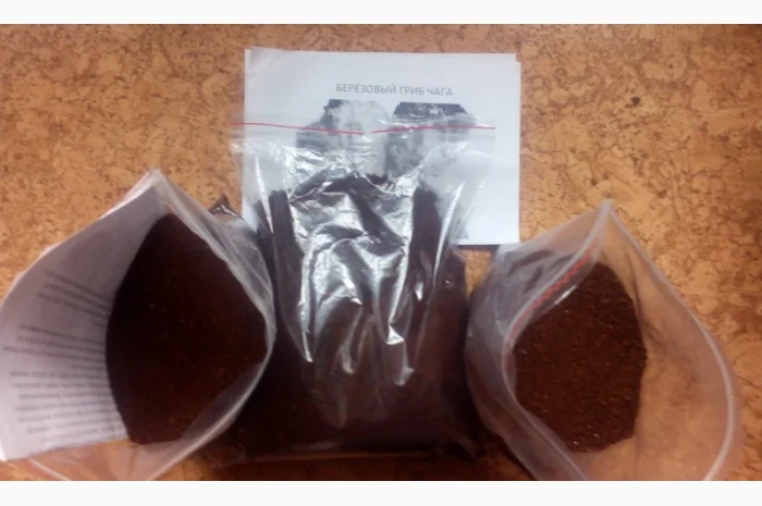 Гриб веселка 2023, березовий гриб чага, соснові шишки от инсульта- фото № 12