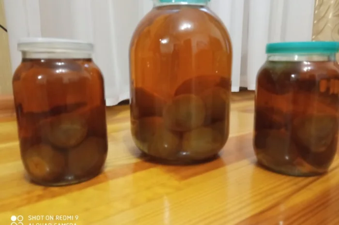 Гриб веселка 2023, березовий гриб чага, соснові шишки от инсульта- фото № 4