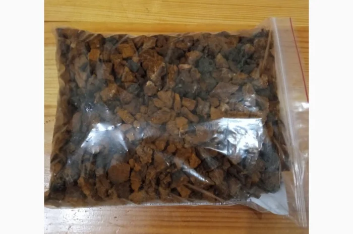 Гриб веселка 2023, березовий гриб чага, соснові шишки от инсульта- фото № 14