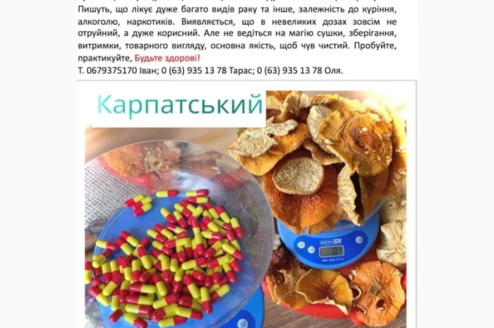 Мухомор сушений в продаже- фото № 1