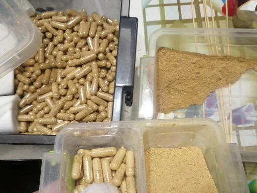 Мухоморы красные и пантерные микродозинг, шляпки, ножки- фото № 2