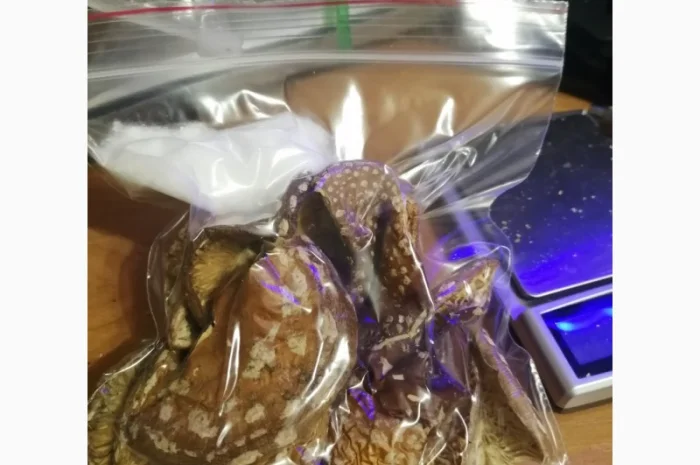 Мухоморы красные и пантерные микродозинг, шляпки, ножки- фото № 7