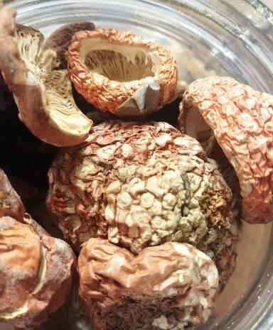 Мухоморы красные и пантерные микродозинг, шляпки, ножки- фото № 10