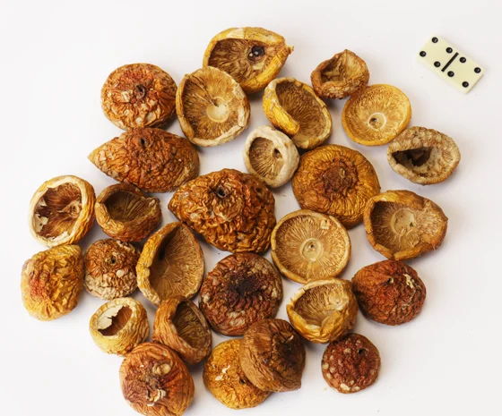 Сушений Красний мухомор, капелюшки- фото № 1