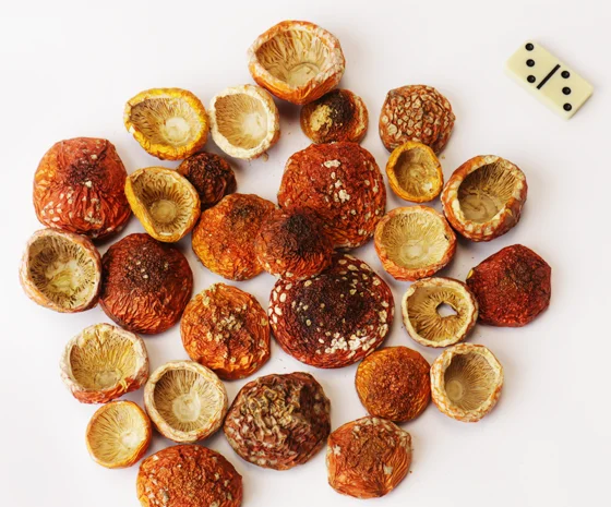 Сушений Красний мухомор, капелюшки- фото № 2