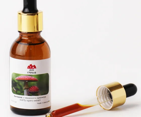 Мухомор червоний для медитації та самопізнання- фото № 5