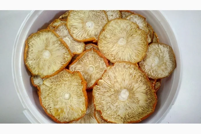 Мухомор червоний сушений. Мухоморы красные- фото № 2