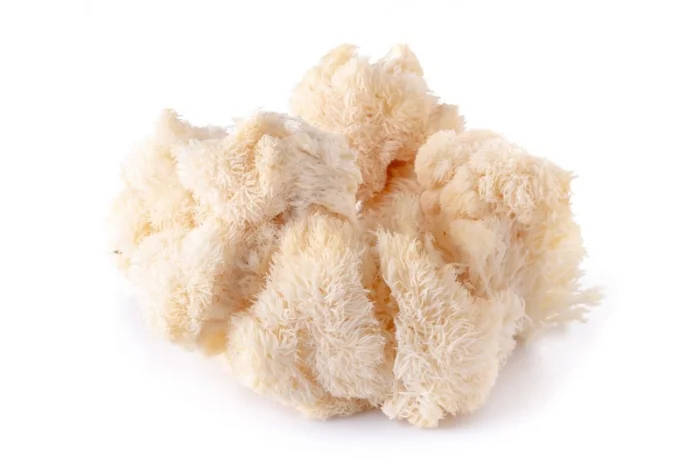 Продаємо Їжовик Гребінчастий, свіжий, від 1 кг, український виробник Savvy Foods- фото № 1