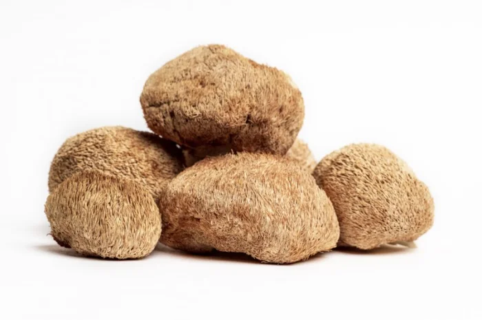 Продаємо Їжовик гребінчастий, сушений, від 100 г, український виробник Savvy Foods- фото № 1