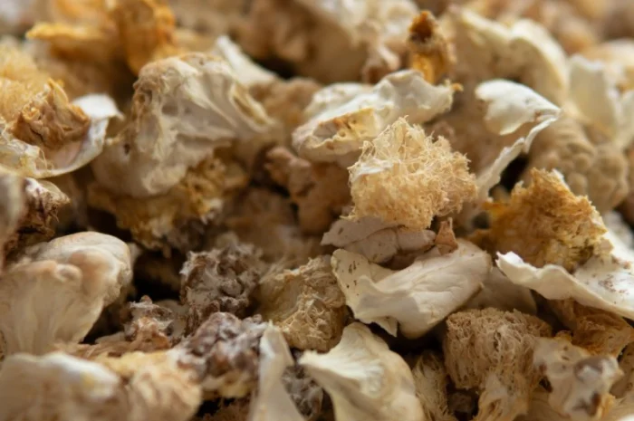 Продаємо Їжовик гребінчастий, сушений, від 100 г, український виробник Savvy Foods- фото № 3