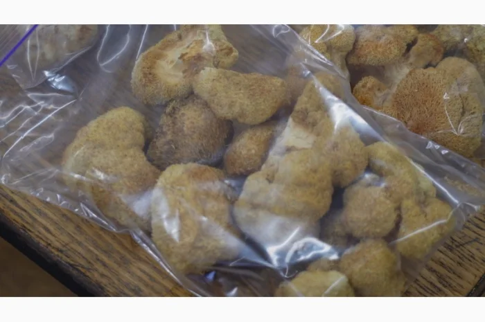 Продаємо Їжовик гребінчастий, сушений, від 100 г, український виробник Savvy Foods- фото № 2