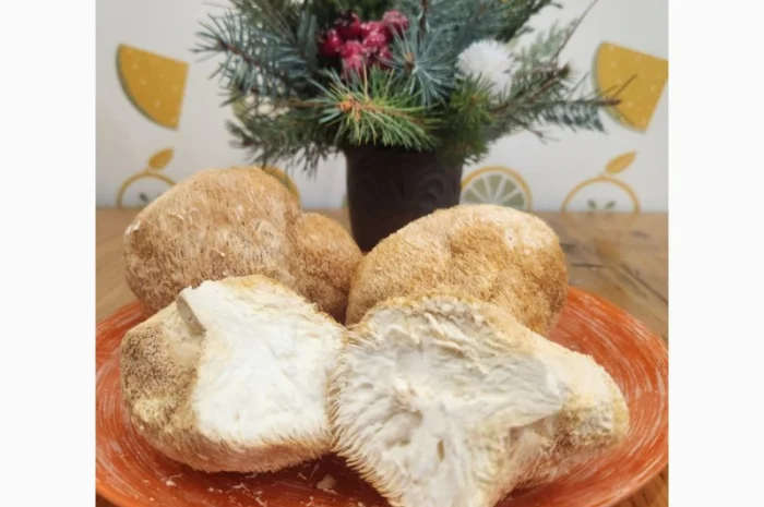 Їжовик Гребінчастий, Ежовик Гребенчатый, Lion's Mane продам- фото № 1