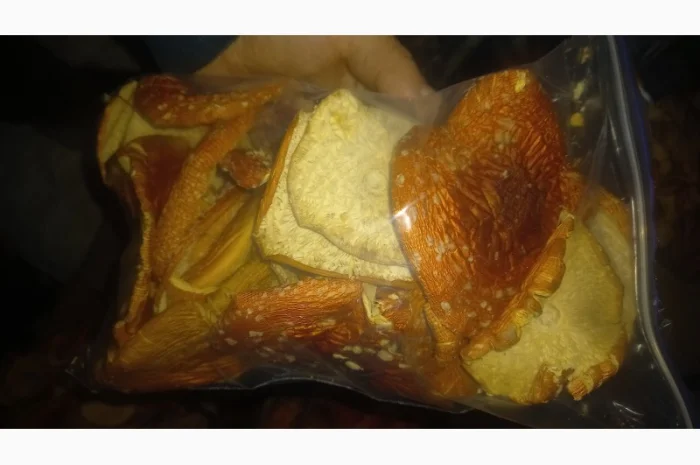 Сушеный мухомор урожай 2024 в Осмолода- фото № 8