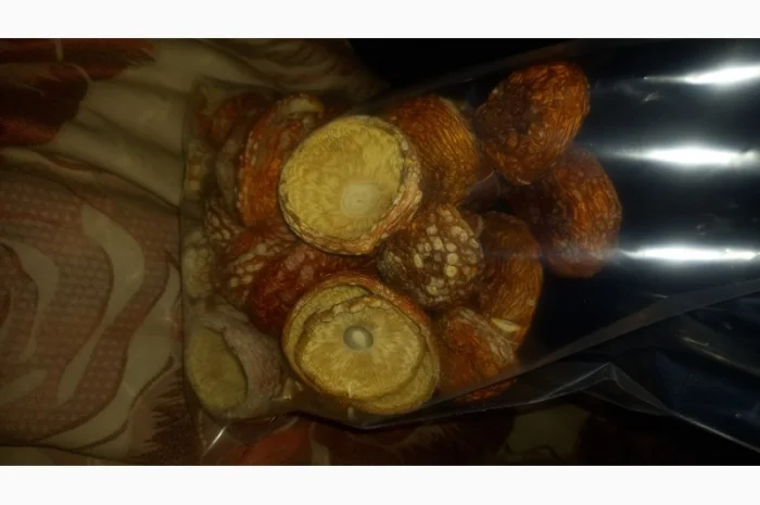 Сушеный мухомор урожай 2024 в Осмолода- фото № 10