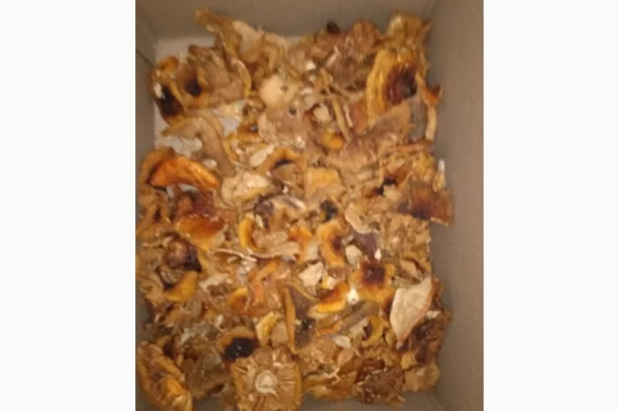 Гріб мухомор сухий шляпкі на продаж- фото № 2