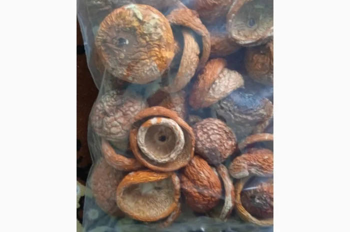 Гріб мухомор сухий шляпкі на продаж- фото № 3