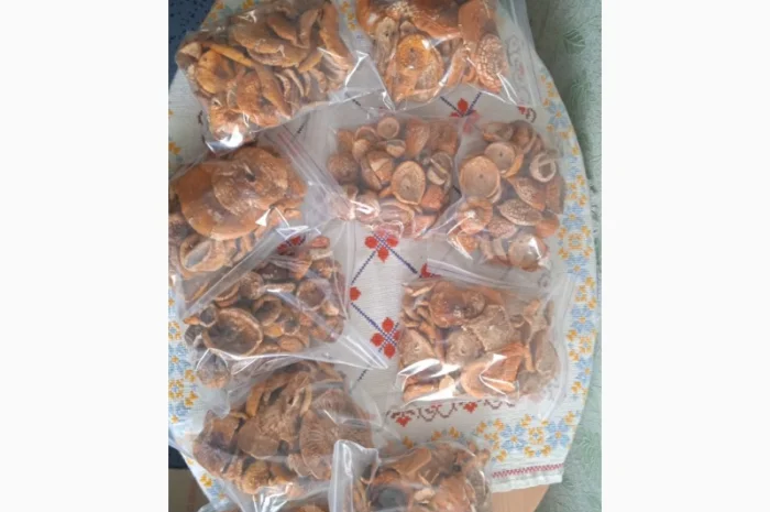 Гріб мухомор сухий шляпкі на продаж- фото № 4