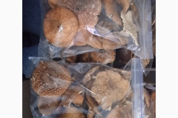 Мухомор пантерний капелюшки для продажи- фото № 1