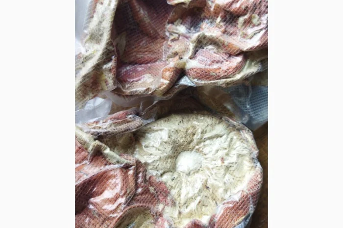 Продаю мухомор червоний і пантерний- фото № 6