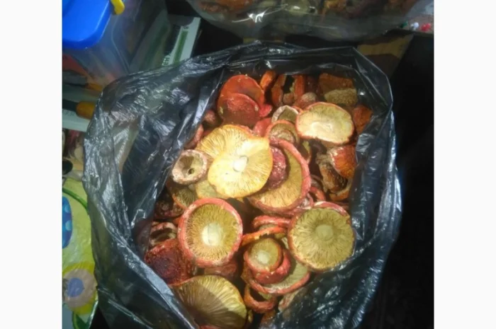 Продаж Червоні мухомори 1 та 2 сорт- фото № 1