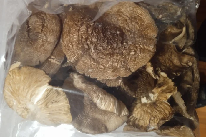 Продам сухі шляпки пантерного мухомора- фото № 1