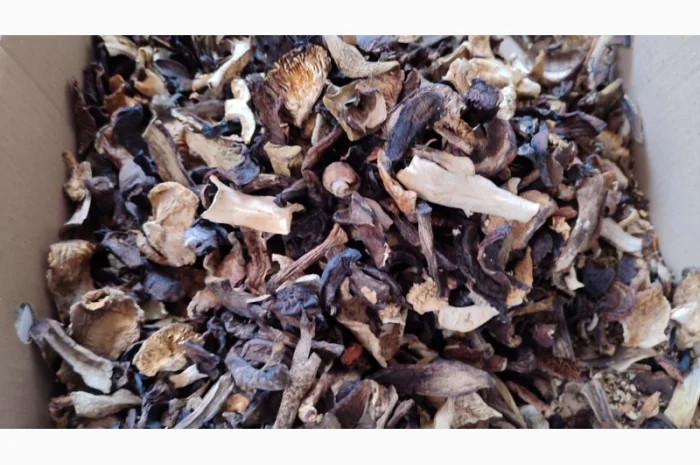 Продаю грибний мікс, сушені гриби різних видів- фото № 1